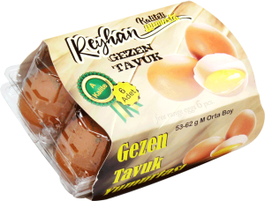 REYHAN-6-PNG-web