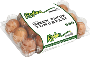 reyhan-15-web3